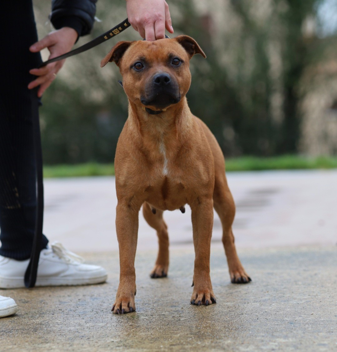 Touchka Du Domaine Des Juraires