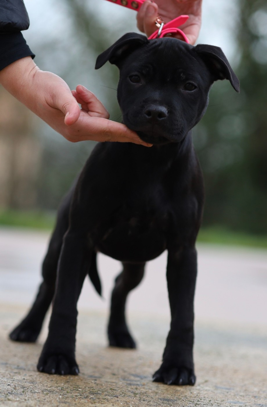 Ad vitam æternam  Du Domaine Des Juraires